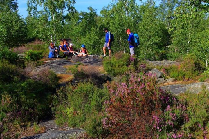 Camping Marvilla Parks -Parc Des Roches 91530 Saint-Chéron Esterno foto
